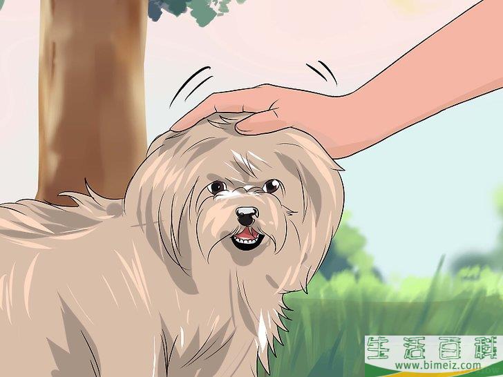 怎么训练狗狗在屋外上厕所
