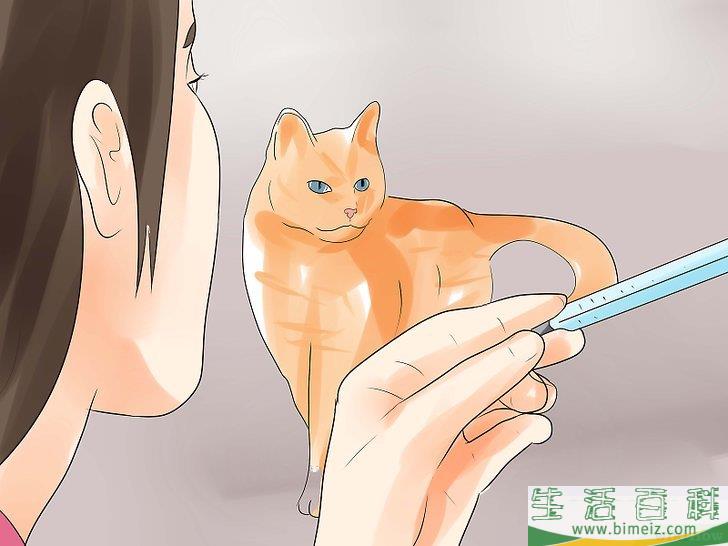 怎么知道你的猫是不是要死了