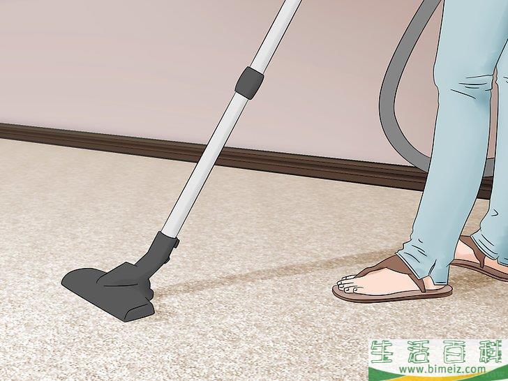 怎么让苍蝇远离宠物狗