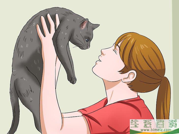 怎么让你的猫爱你