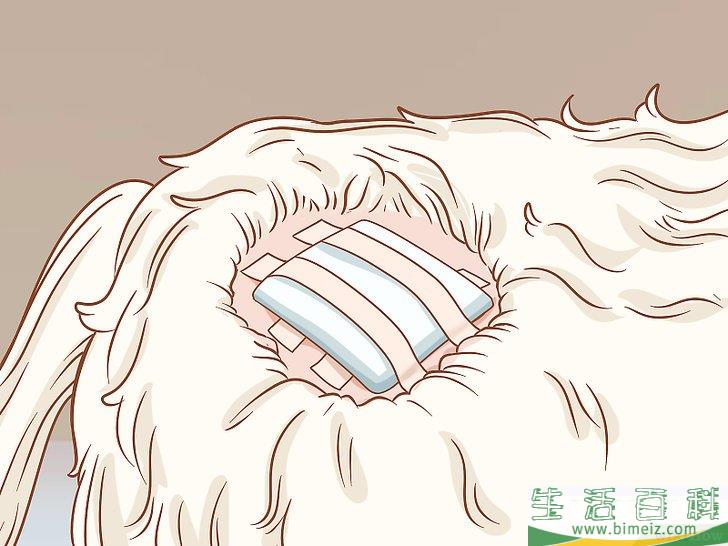 怎么在家里去除狗身上的皮赘
