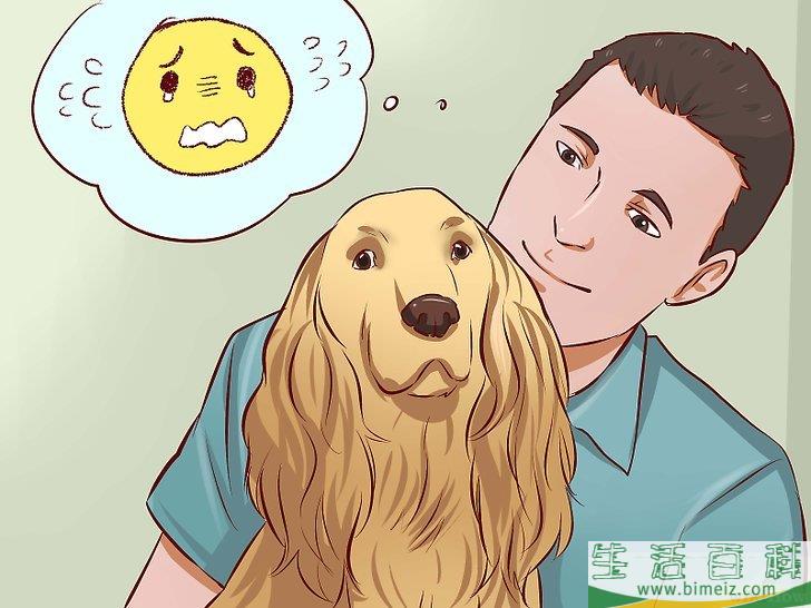 怎么安抚爱犬