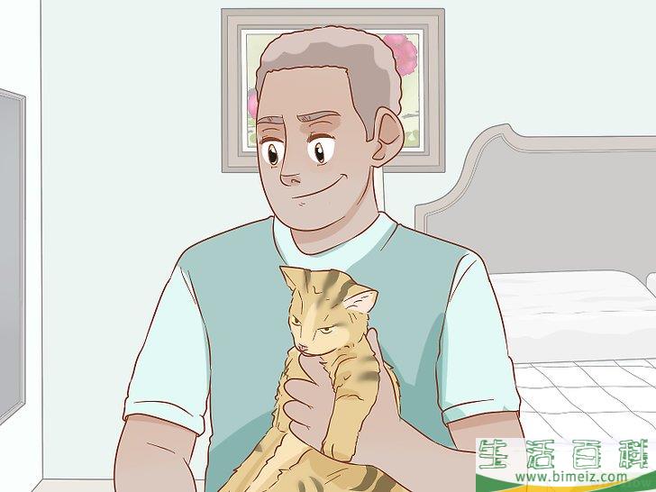 怎么避免野猫肆虐