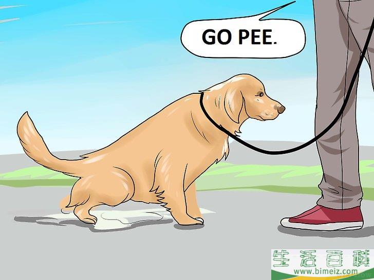 怎么训练狗狗在屋外上厕所