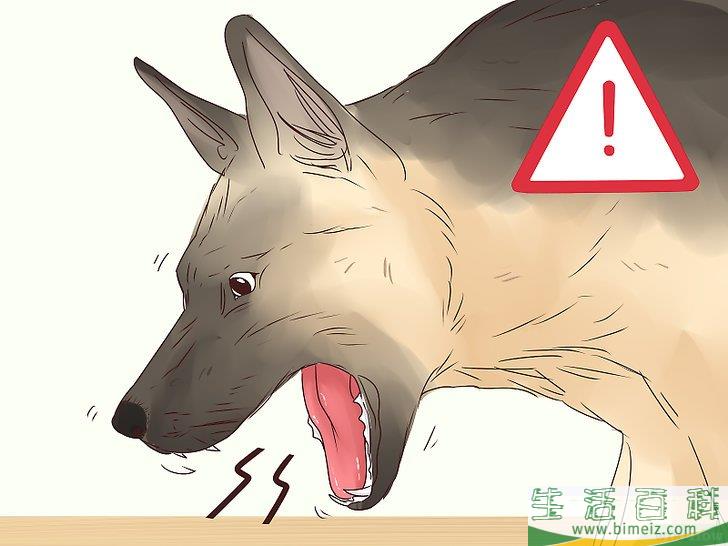 怎么让爱犬减慢进食速度