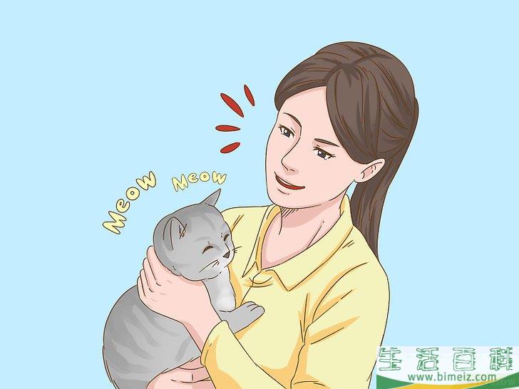 怎么和猫咪交流