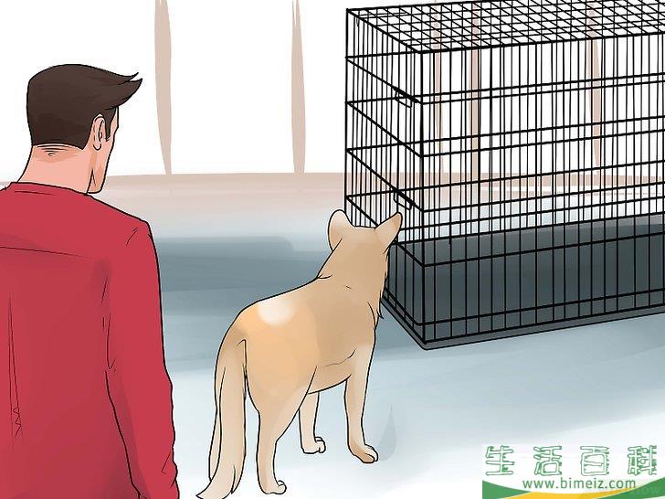 怎么训练狗狗在屋外上厕所