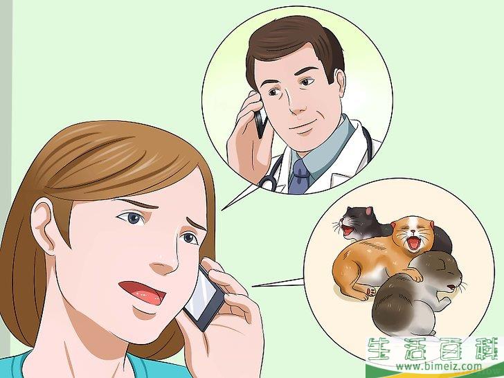 怎么照顾刚出生的小猫