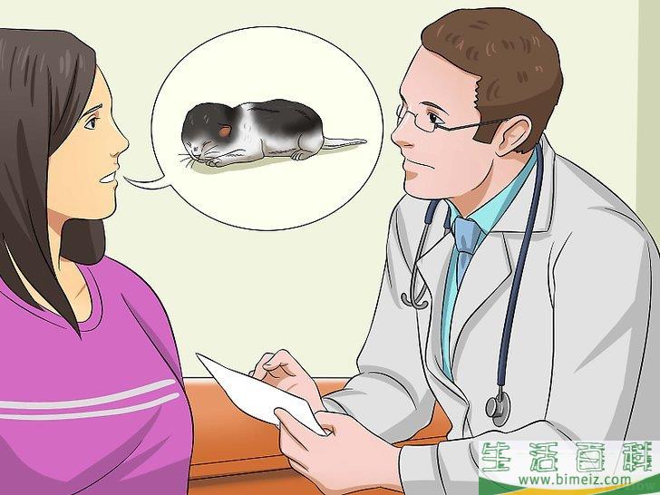 怎么照顾刚出生的小猫