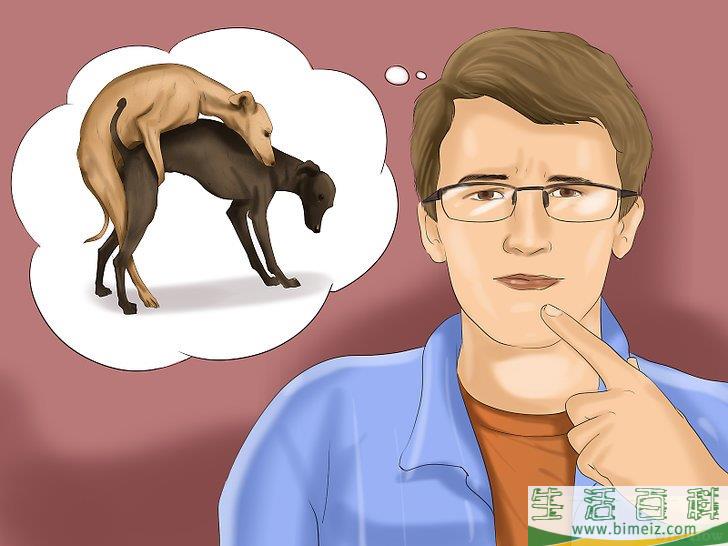 怎么判断母狗是否怀孕