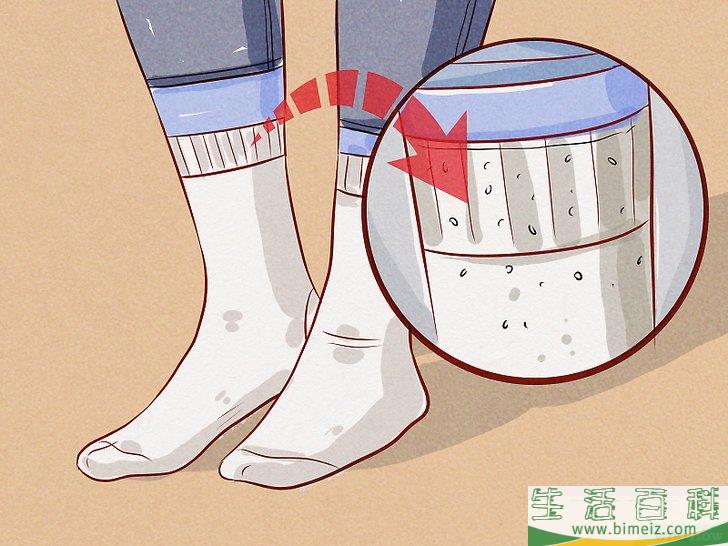 怎么判断狗是否感染了跳蚤