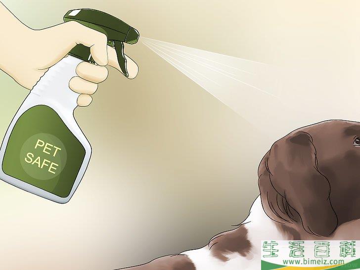 怎么让苍蝇远离宠物狗