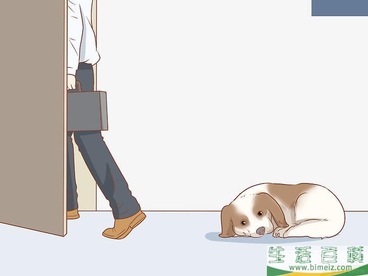 怎么判断狗狗是否得了忧郁症