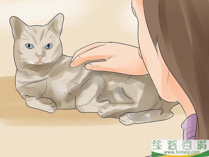 怎么知道你的猫是不是要死了