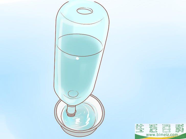 怎么照顾幼猫