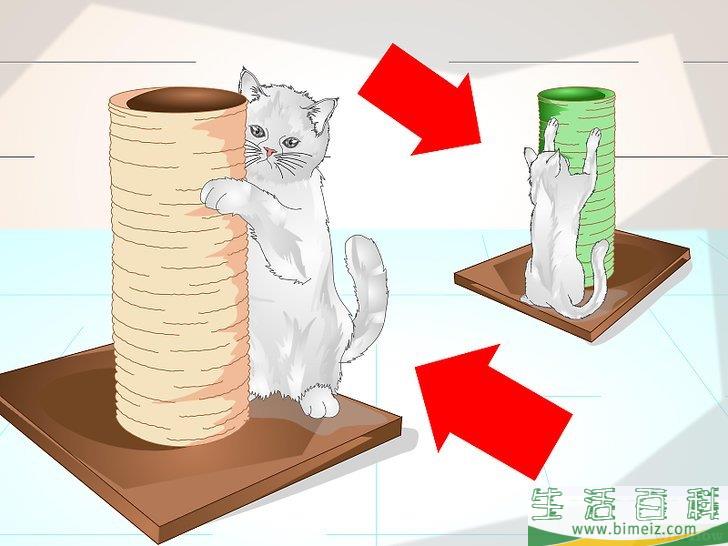 怎么宠爱猫咪