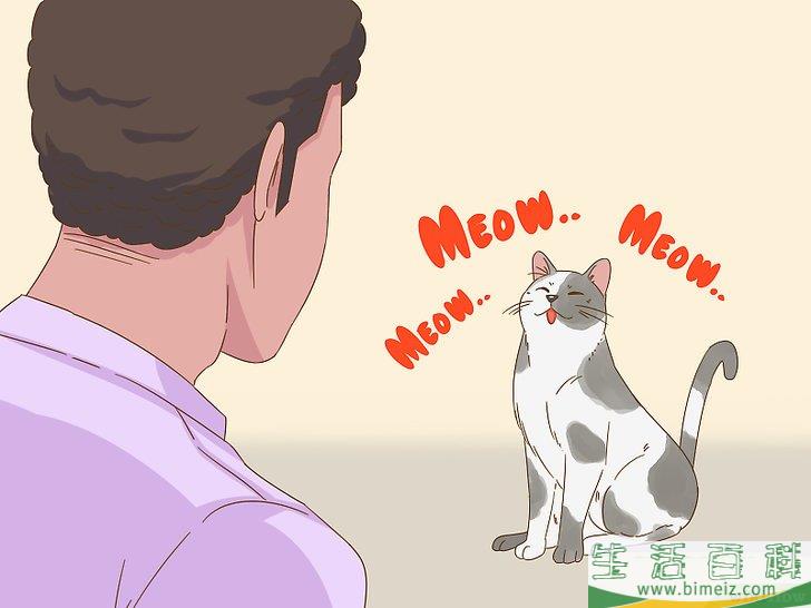 怎么和猫咪交流