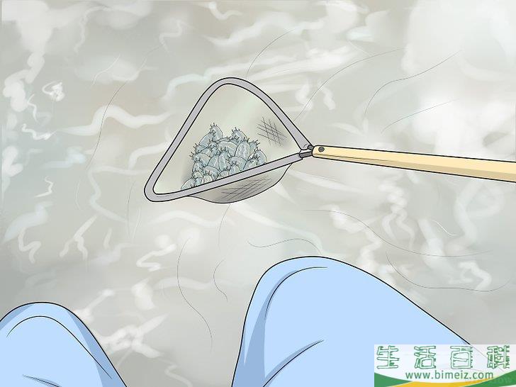 怎么抓沙蟹