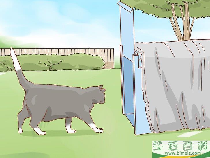 怎么避免野猫肆虐