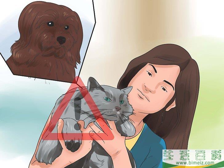 怎么让猫咪不再发出嘶嘶声