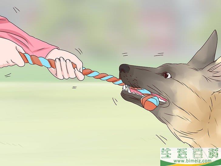 怎么让狗不再舔人