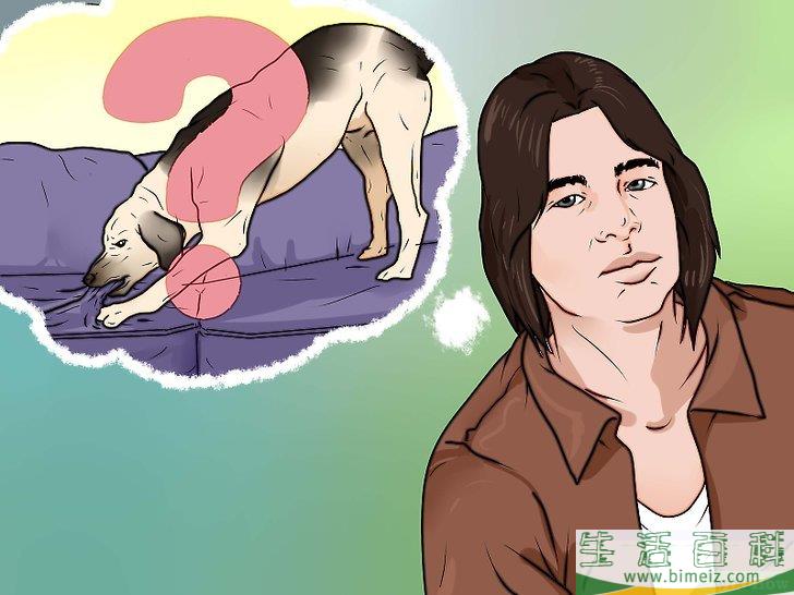 怎么惩罚狗狗