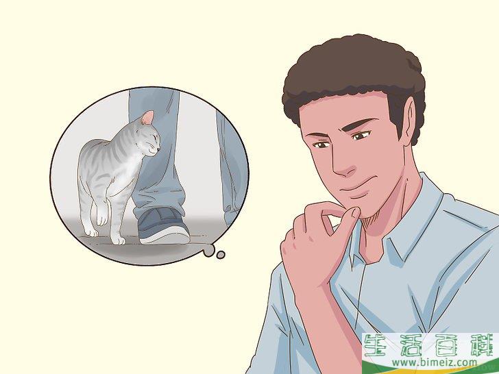 怎么和猫咪交流