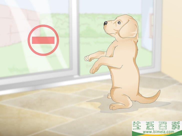 怎么辨认跳蚤的咬痕