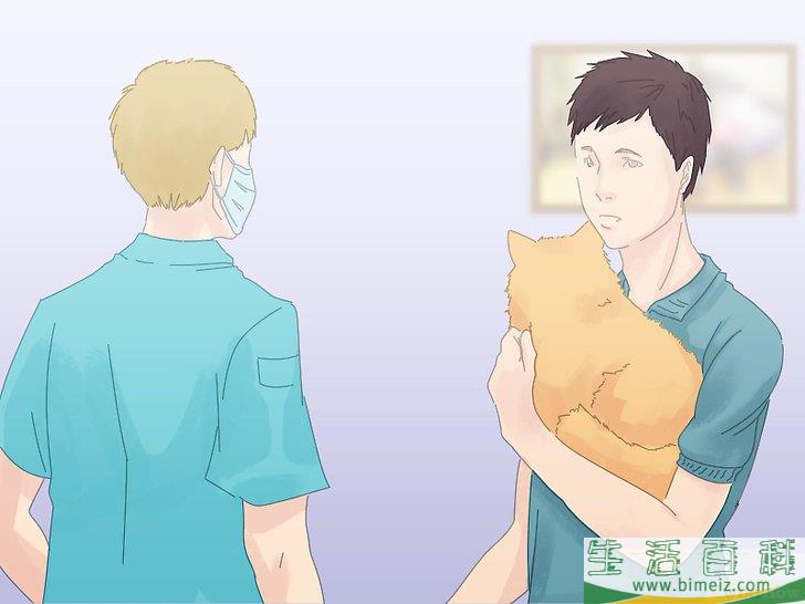 怎么防止猫咪在地毯上撒尿