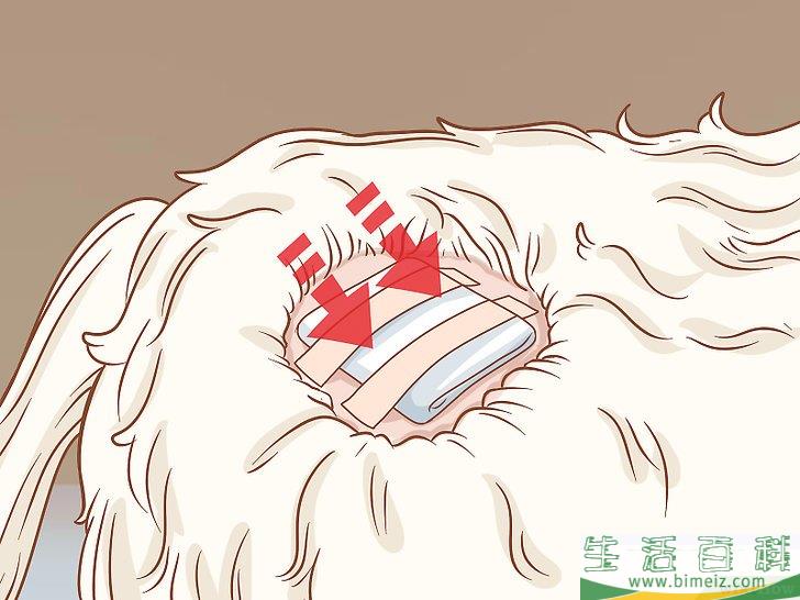 怎么在家里去除狗身上的皮赘