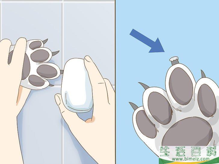 怎么给狗狗的趾甲床止血