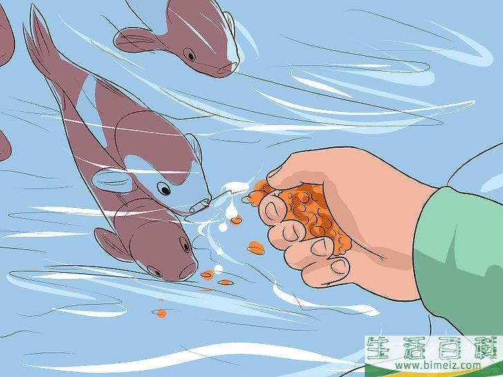 怎么保持池塘清洁