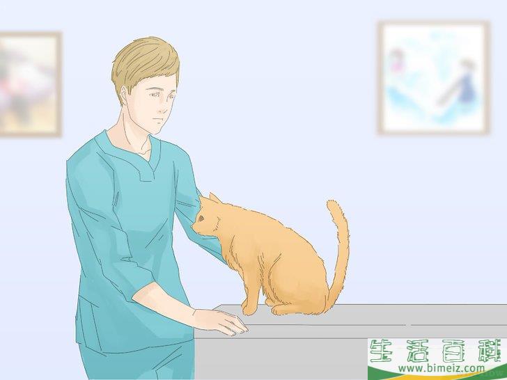 怎么防止猫咪在地毯上撒尿