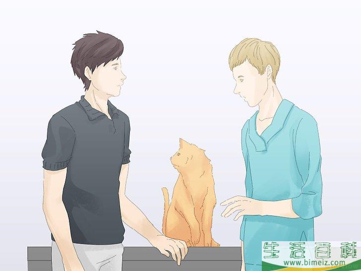 怎么防止猫咪在地毯上撒尿