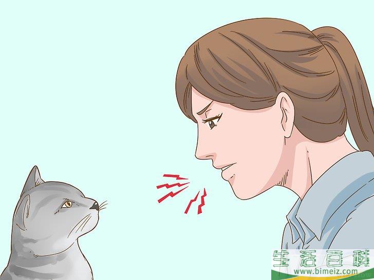 怎么和猫咪交流