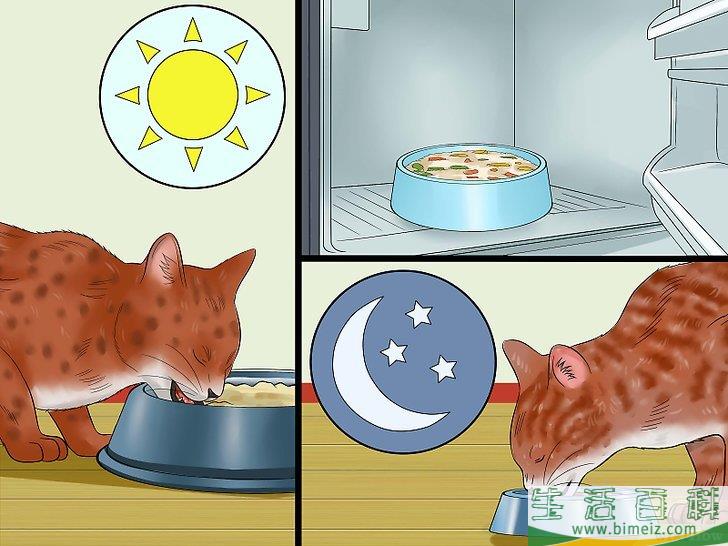 怎么自制猫食