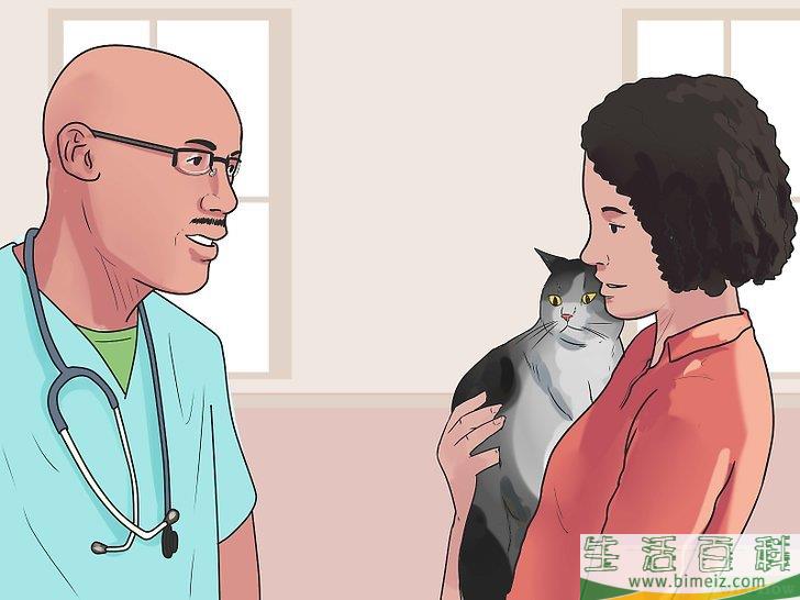 怎么让猫咪不再发出嘶嘶声