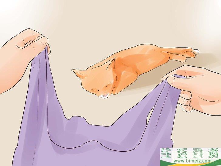 怎么知道你的猫是不是要死了