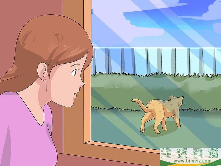 怎么辨别猫咪是否被切除卵巢