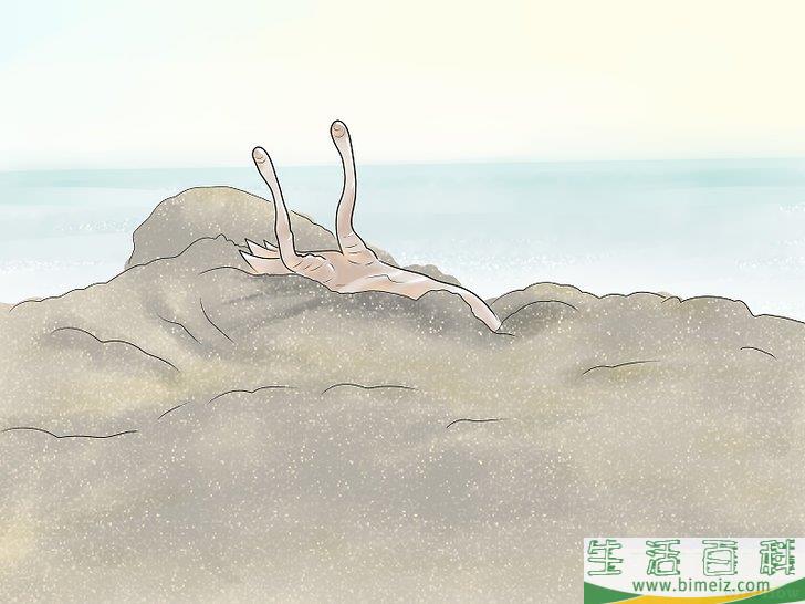 怎么抓沙蟹