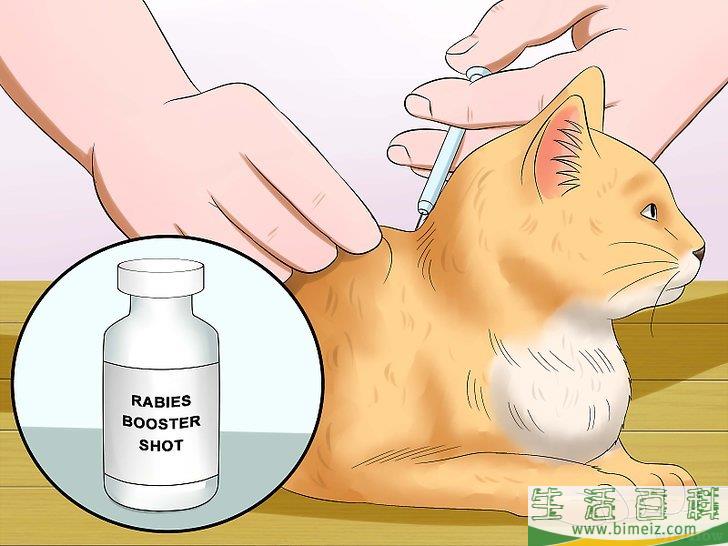 怎么判断猫是否得了狂犬病