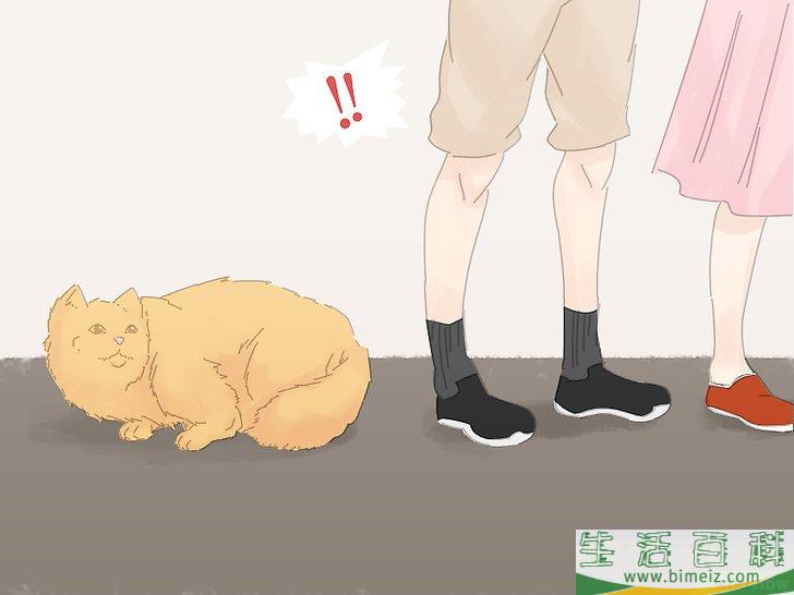 怎么防止猫咪在地毯上撒尿