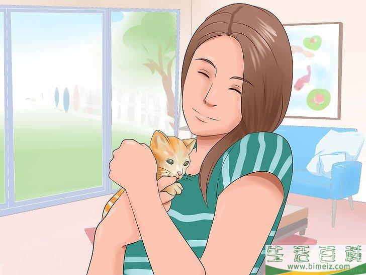 怎么让狗不再追赶猫咪