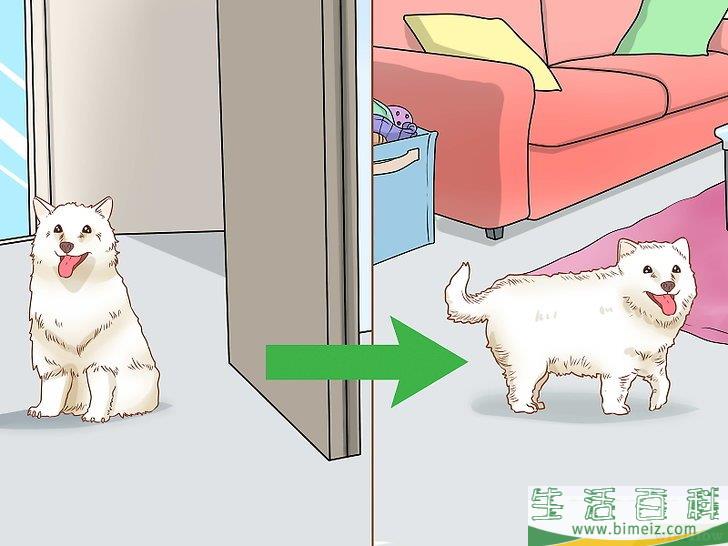 怎么判断狗狗是否得了忧郁症