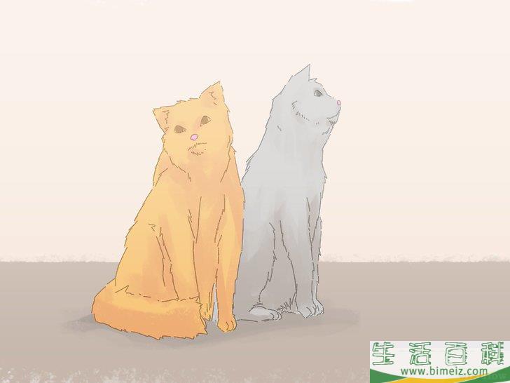 怎么防止猫咪在地毯上撒尿