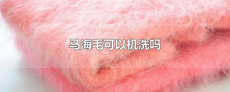 马海毛可以机洗吗