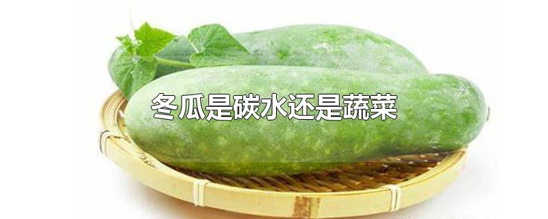 冬瓜是碳水还是蔬菜