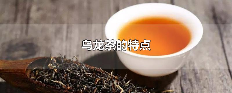 乌龙茶的特点